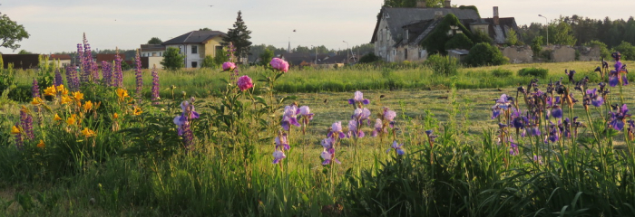 Pēc lietus nāks saule un siltums