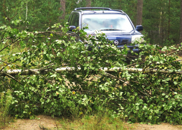 22, augusta vētra sagāza daudz koku uz atstāja bez elektrības plašu apkārtini.